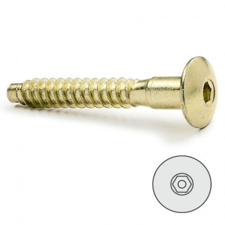 TORNILLO AUTORROSCANTE EMBELLECEDOR ALLEN. ACERO. LATONADO. PARA ENSAMBLE EN MADERA. CABEZA AVELLANADA ANCHA. DIÁMETRO 7