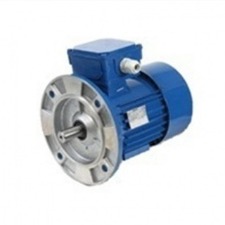 MOTOR BRONCE B5 1500rpm 0,25CV 0,18kw M63C4