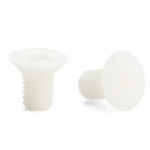 TORNILLO NYLON DIN-965 6-10