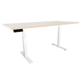 PATA PARA MESA ELEVADORA LEIVA 600-1250. ELÉCTRICO. TELESCÓPICA. ACERO. CAPACIDAD 100KG 2