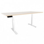 PATA PARA MESA ELEVADORA LEIVA 600-1250. ELÉCTRICO. TELESCÓPICA. ACERO. CAPACIDAD 100KG