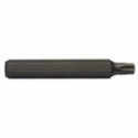 PUNTA DE ATORNILLAR TORX LARGA. ACERO. MANGO - BIANDITZ