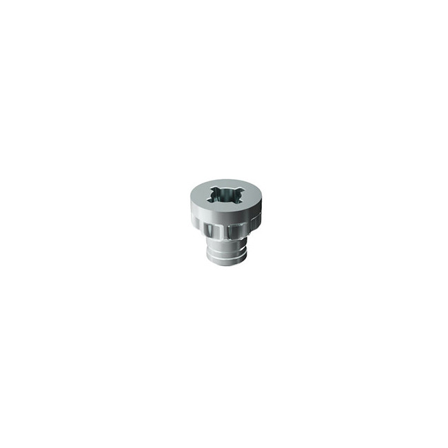 TORNILLO EMBELLECEDOR TARGET J12. HIERRO. ZINCADO - ITALIANA FERRAMENTA
