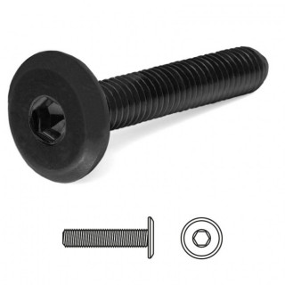 TORNILLO CEGAS CABEZA PLANA ALLEN NEGRO 2